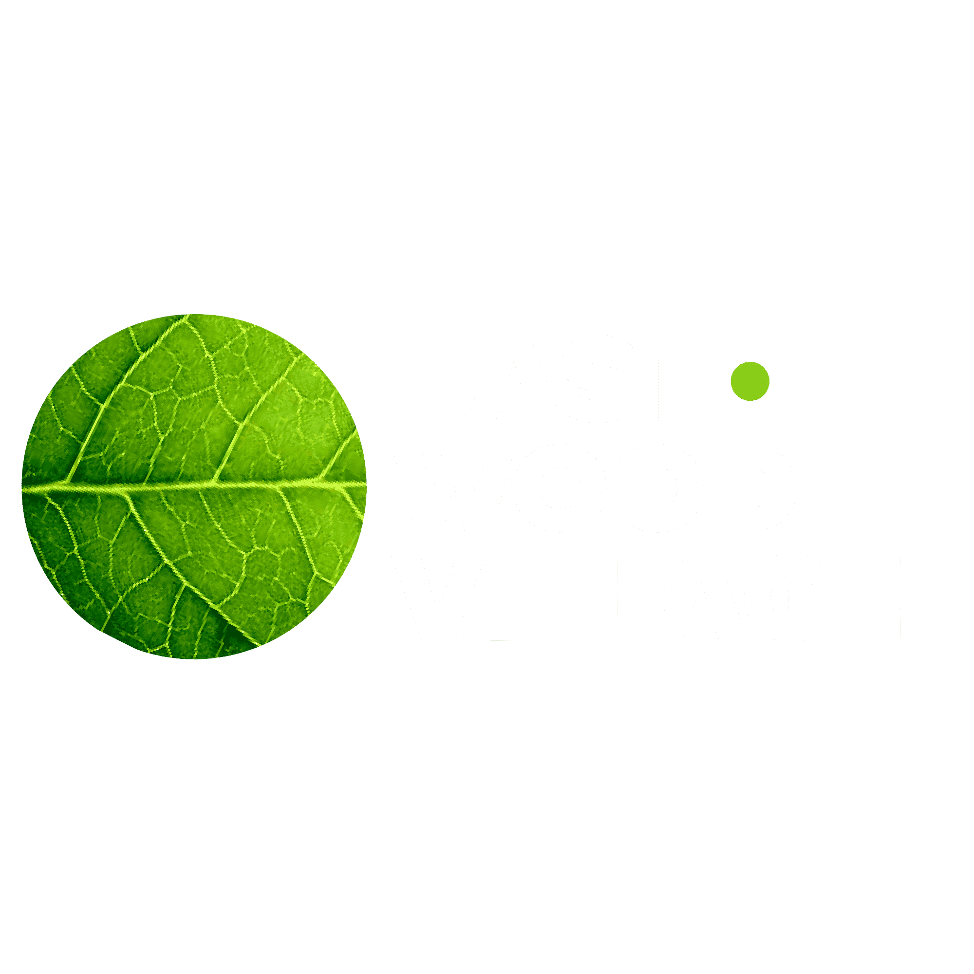Дизайн логотипа для клубного поселка Eastwood Village